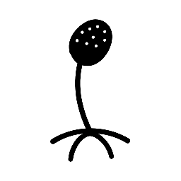 V.E.G Moldes